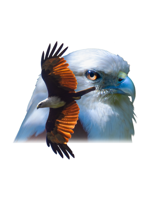 Faith Wing